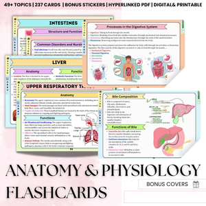 Anatomy & Physiology Flashcards